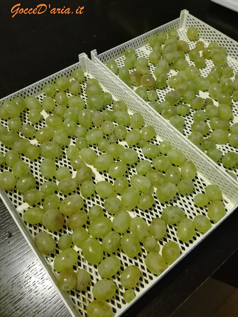 IMG 20181101 103823
