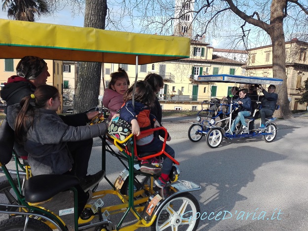IMG 20190304 155126