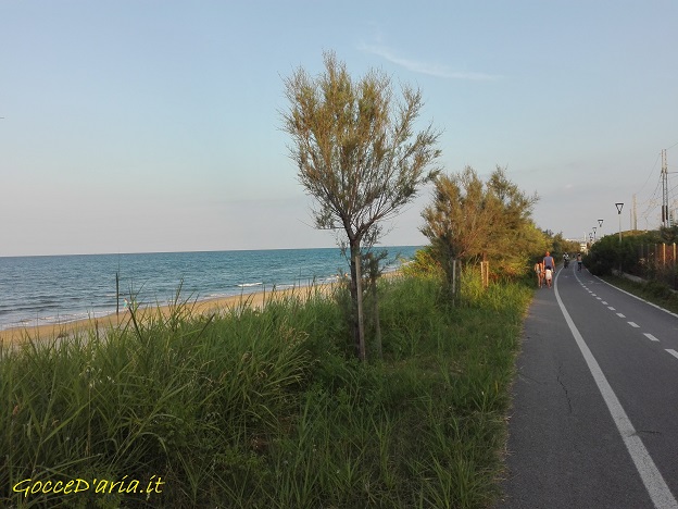 IMG 20190706 195451