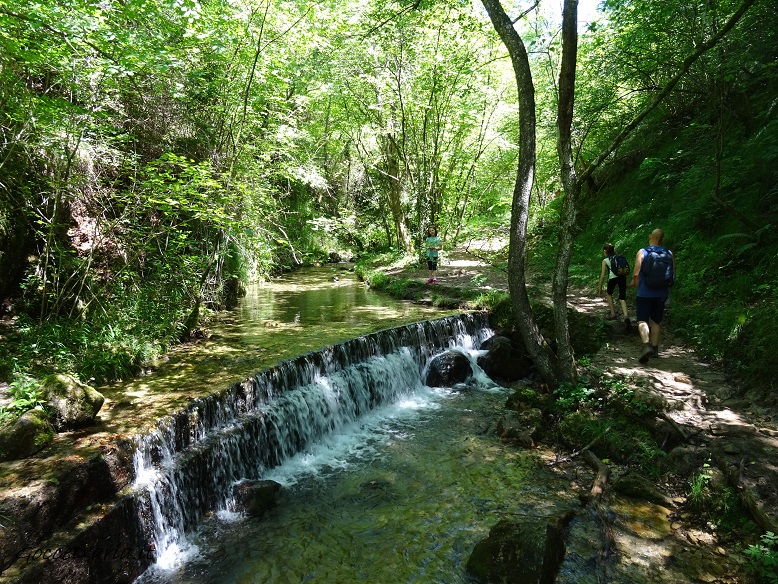 DSC02685