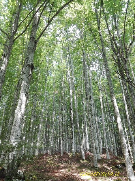 IMG 20190723 145431