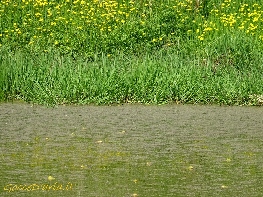 DSC04757