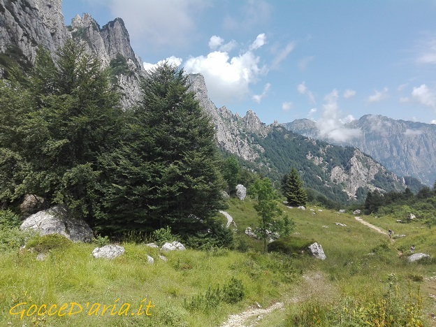 IMG 20200722 120729