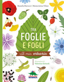 tra foglie e fogli cop 310 310