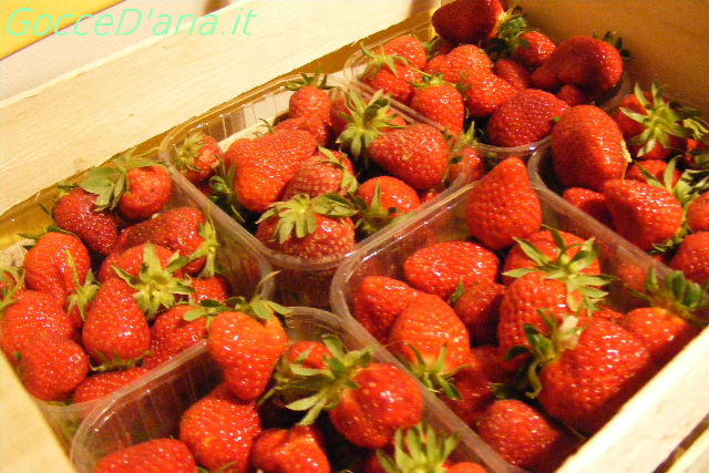 DSCF7540