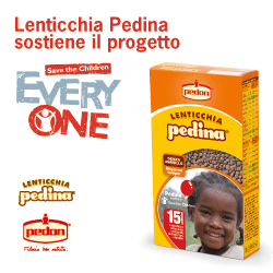 1387382242079 banner pedina 250