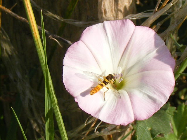 dscf8148