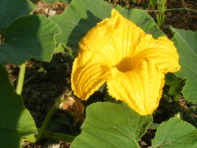 dscf8157
