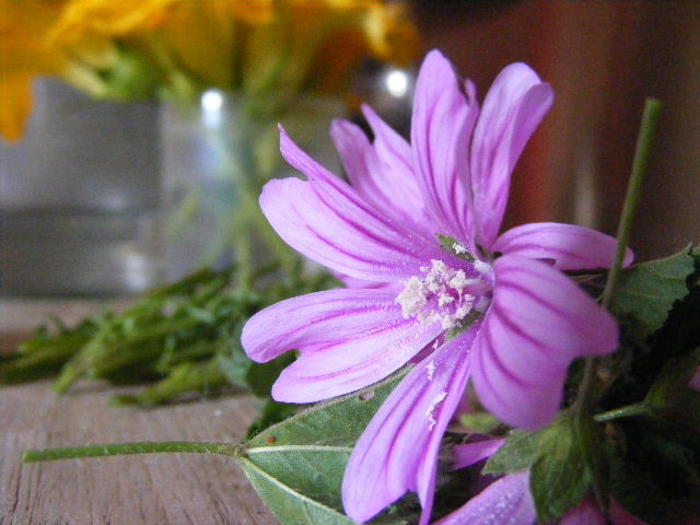 DSCF0828