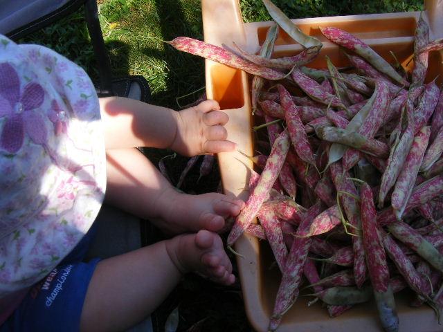 2011 0709033