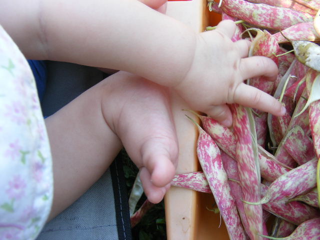 2011 0709036