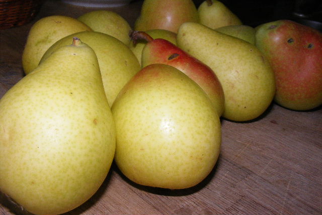 2011 0725027