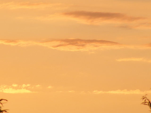 DSCF8066