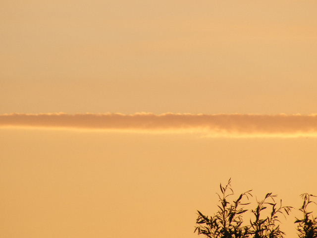 DSCF8067