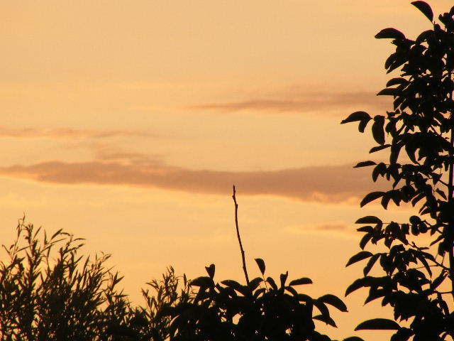 DSCF8068