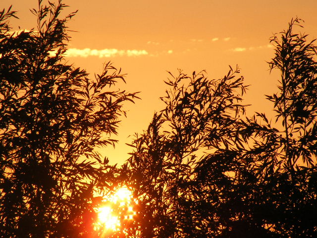 DSCF8069