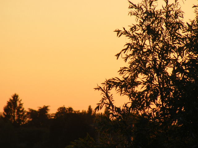 DSCF8070