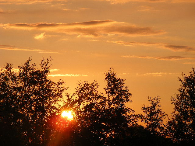 DSCF8073