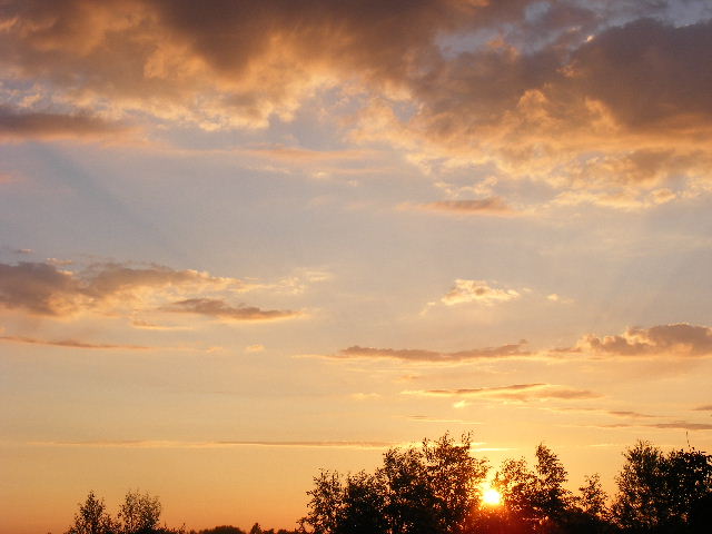 DSCF8074