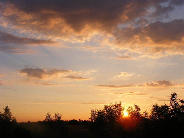 DSCF8075