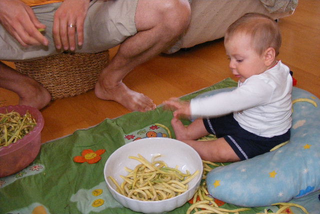 2011 0725005