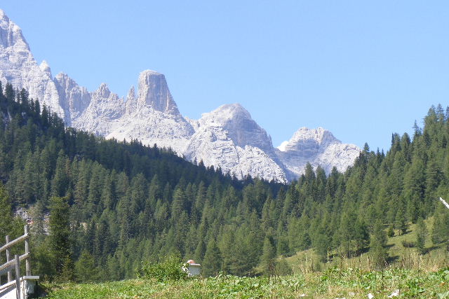 2011 0825086
