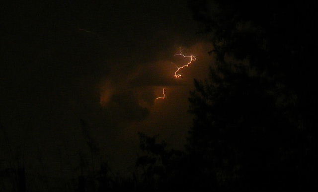 2011 0831041-rit