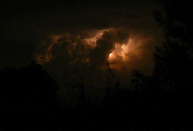 2011 0831043-rit