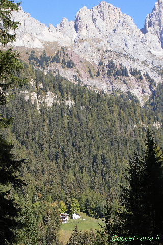 2011 1015045