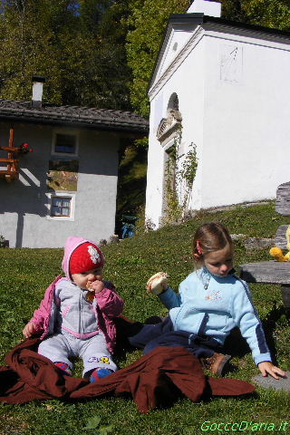 2011 1015068