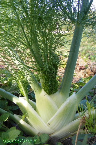 2011 1023006