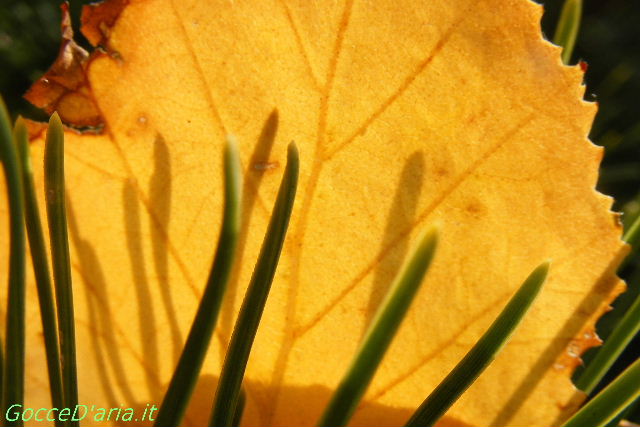 2011 1027022