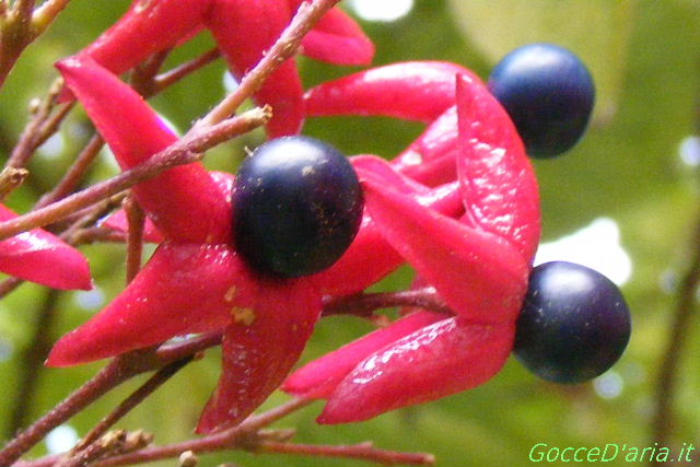 2011 1027030