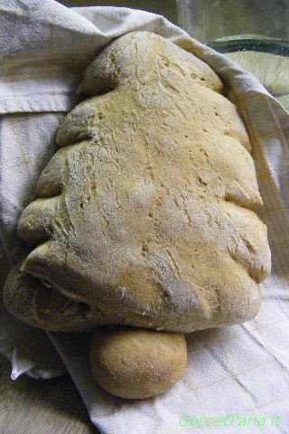 2011 1206034