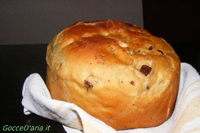 panettone
